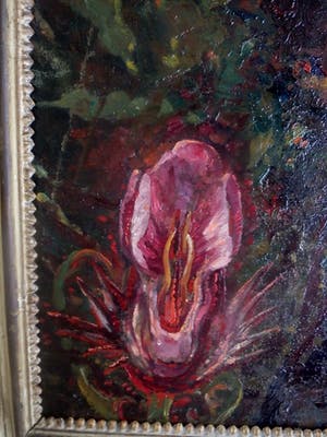 Jacobus Doeser - bloemen en planten kopen? Bied vanaf 250!