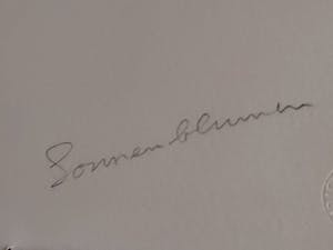 Gernot Kissel - Sonneblumen kopen? Bied vanaf 70!