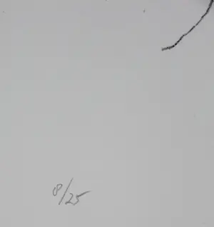 Armando - litho : de naam in een kamer) - 1998 kopen? Bied vanaf 149!