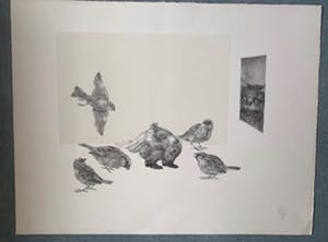 Peter Vos - Vreemde vogels met kat op de loer. kopen? Bied vanaf 55!