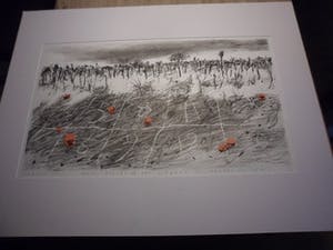 Marijke van der Meij - Litho, Titel, "Holy places of our scenery". kopen? Bied vanaf 30!
