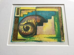 Marianne Aulman - 2 litho's Schelpen | kleine oplage - beide identiek ingelijst kopen? Bied vanaf 39!