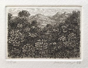 Simon Koene - Tropisch oerwoud kopen? Bied vanaf 10!