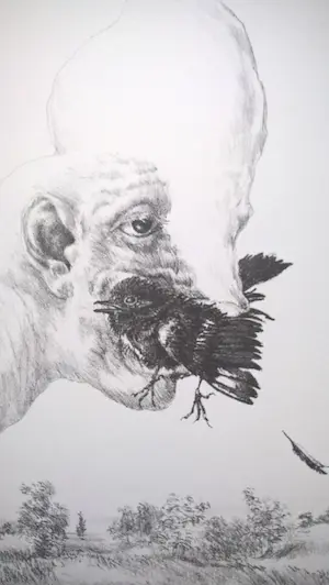 Peter Vos - Schiereiland melancholie- gesigneerde litho kopen? Bied vanaf 70!