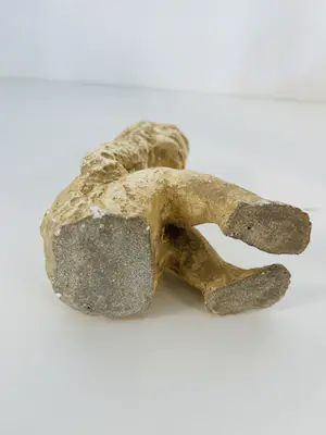 Jeanine Veldman - Kinderen en Baby kopen? Bied vanaf 1!