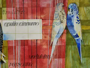 Theo Bitter - Opalin cinnamo kopen? Bied vanaf 30!