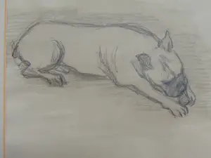 Claartje Mermans-Zoetmulder - Slapende honden kopen? Bied vanaf 55!