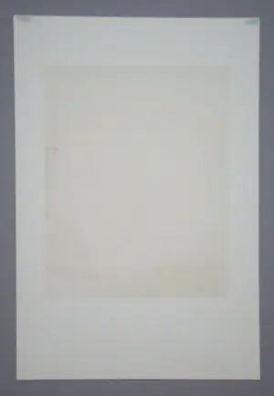 Max Ernst - Rote Blume - Lithografie in beperkte oplage - 1960 - Mourlot - gesigneerd kopen? Bied vanaf 350!