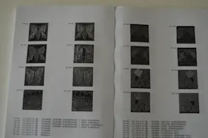 Diverse kunstenaars - Cloisonné tegels van de Porceleyne Fles, Delft. kopen? Bied vanaf 70!