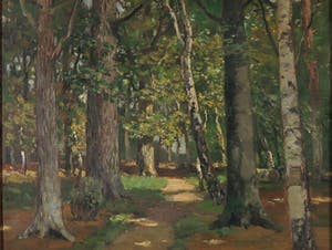 Bernard Ferdinand Hoppe - Olieverf op paneel, Boslandschap - Ingelijst kopen? Bied vanaf 250!