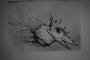 Hans van Dokkum - Het orgaanmonstertje met veren kopen? Bied vanaf 40!