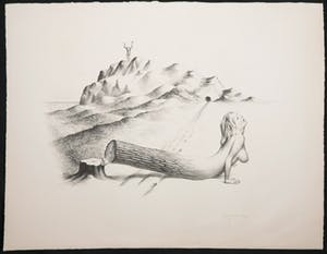 Joop Moesman - Litho, Gevallen kopen? Bied vanaf 60!