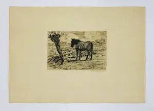 Sam Schellink - zonder titel (paard) kopen? Bied vanaf 35!