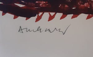 Pierre Alechinsky - Passe Muraille, kleinere oplage (mooi gelijst) kopen? Bied vanaf 895!