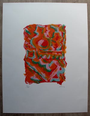 Wim Drion - Litho - 1987 kopen? Bied vanaf 23!