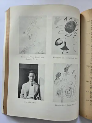 Salvador Dali - Zes boeken over en door Dali. Drie boeken over surrealisme. kopen? Bied vanaf 20!