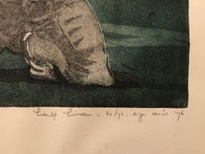 Leentje Linders - He's flying high part one kopen? Bied vanaf 25!