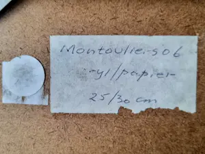 Thijs Buit - Montouliers kopen? Bied vanaf 50!