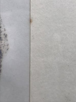 Niet of onleesbaar gesigneerd - G. de Fleurquin - Portret meisjes kopen? Bied vanaf 1!