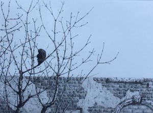 Wim van der Meij - C2465-9 - Eckler st. no. 7 kopen? Bied vanaf 25!