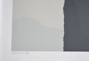 Gijs Keizer - 2 zeefdrukken. ZT kopen? Bied vanaf 60!