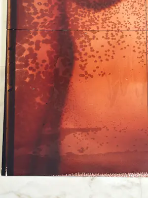 Anne Kreiter - Female Body kopen? Bied vanaf 120!