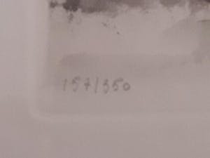 Roger Hebbelinck - Antwerpen. kopen? Bied vanaf 75!