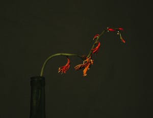 Arnold Mariashin - Red mango kopen? Bied vanaf 125!