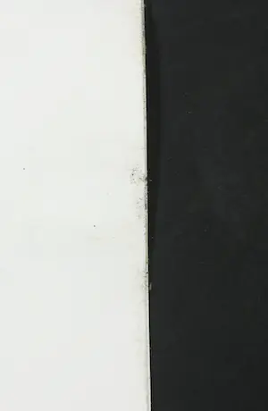 Corneille - Litho, Le chat et L'oiseau kopen? Bied vanaf 1!