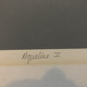 Jaap de Ruig - Aqualine 2 kopen? Bied vanaf 20!