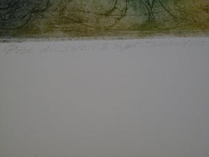 Sam Parabirsingh - POSE DU SOLEIL MET EUROSIENTJE/ POSE DU SOLEIL MET ZWAARDVIS kopen? Bied vanaf 75!