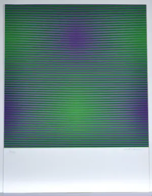 Getulio Alviani - Zeefdruk - Gesigneerd - 54x42 cm - 1977 kopen? Bied vanaf 125!