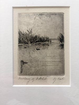 Gerard Lutz - Rietkraag bij Botshol - Ets, Ingelijst kopen? Bied vanaf 35!