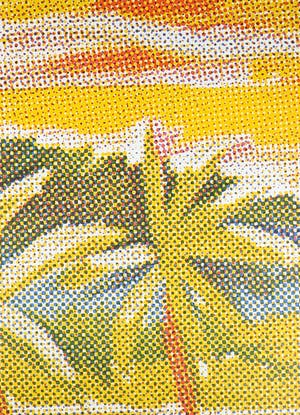 Ramon van de Werken - Zeefdruk, Zonder titel - Ingelijst kopen? Bied vanaf 1!