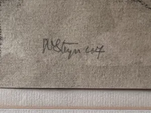 Wim Steijn - Nr 107 kopen? Bied vanaf 50!