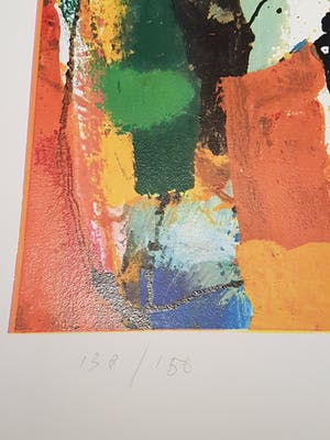 Guillaume Lo-A-Njoe - Orange elefhant kopen? Bied vanaf 25!