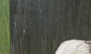 Wies Jansen - Olieverf op paneel, Schapen - Ingelijst kopen? Bied vanaf 100!