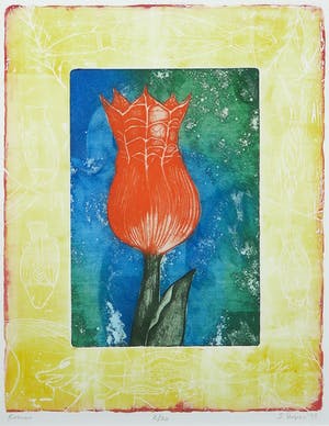 Eliza Kopec - Kleurenets, Romeo - Ingelijst kopen? Bied vanaf 1!