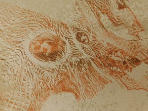 Dang Lebadang - Les Zèbres III kopen? Bied vanaf 20!