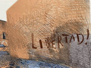 Nicolaas Wijnberg - kleurenlitho - 'Libertad!' - 1983 - Oplage slechts 24 stuks! kopen? Bied vanaf 75!
