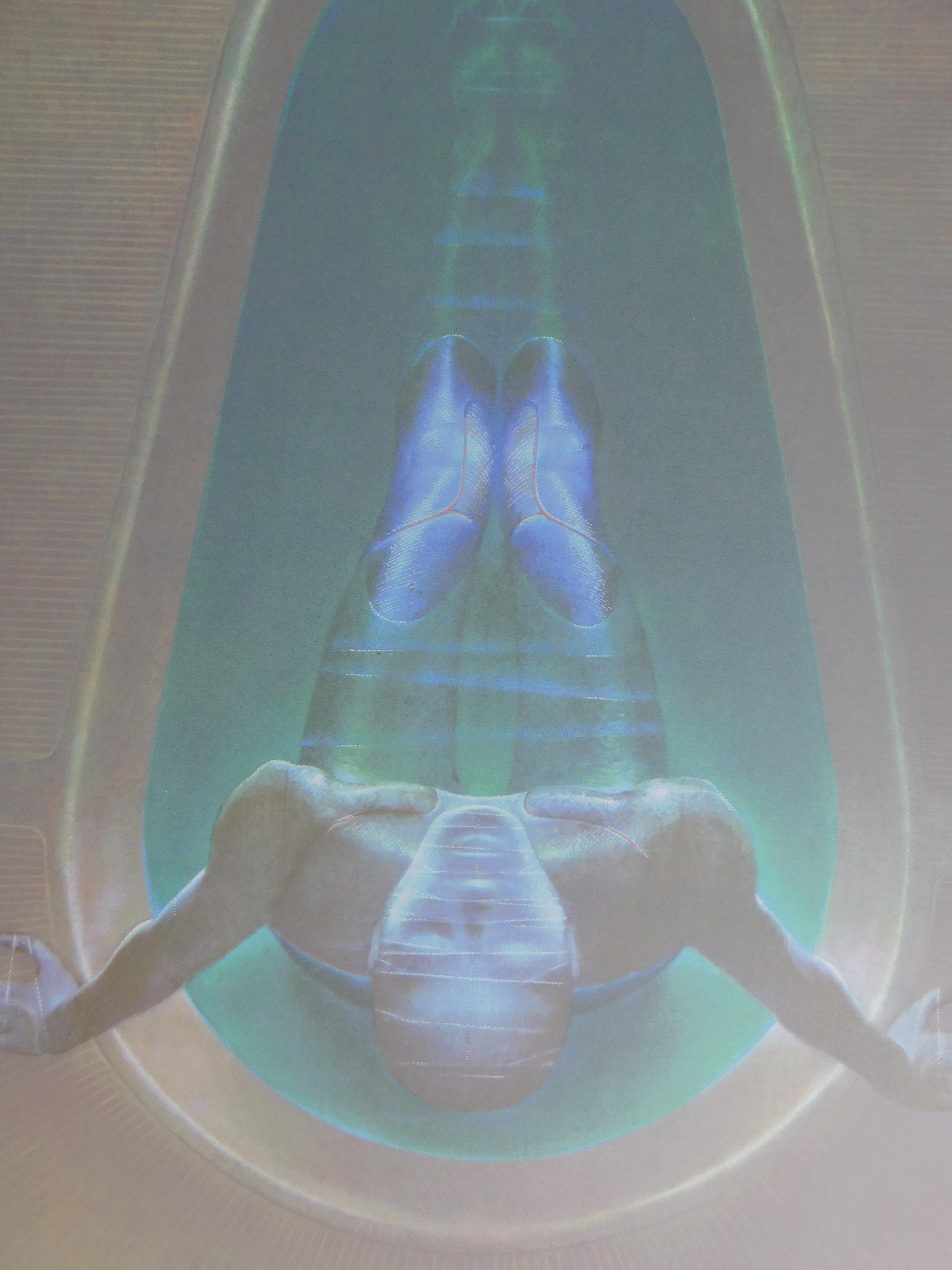 Michel Henricot - La Dame dans le Bain kopen? Bied vanaf 30!