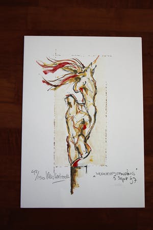 Kees Verkade - Mapje van vijf genummerde en gesigneerde zeefdrukken kopen? Bied vanaf 500!