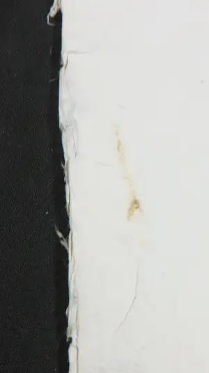 Piotr Konkel - Lot van twee zeefdrukken kopen? Bied vanaf 1!