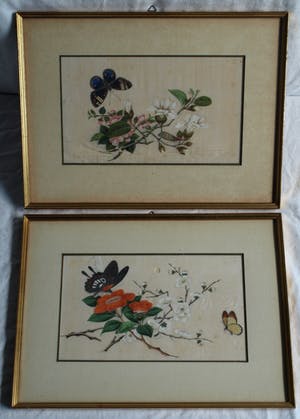 Niet of onleesbaar gesigneerd - 2 Oude ingelijste gouaches (?) op papier , Vlinders kopen? Bied vanaf 1!