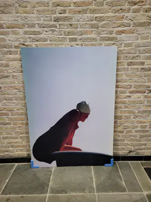 Esther Smits - Bathing in open air kopen? Bied vanaf 25!