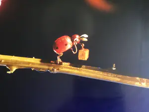 Henk Tas - Beetles out! kopen? Bied vanaf 20!