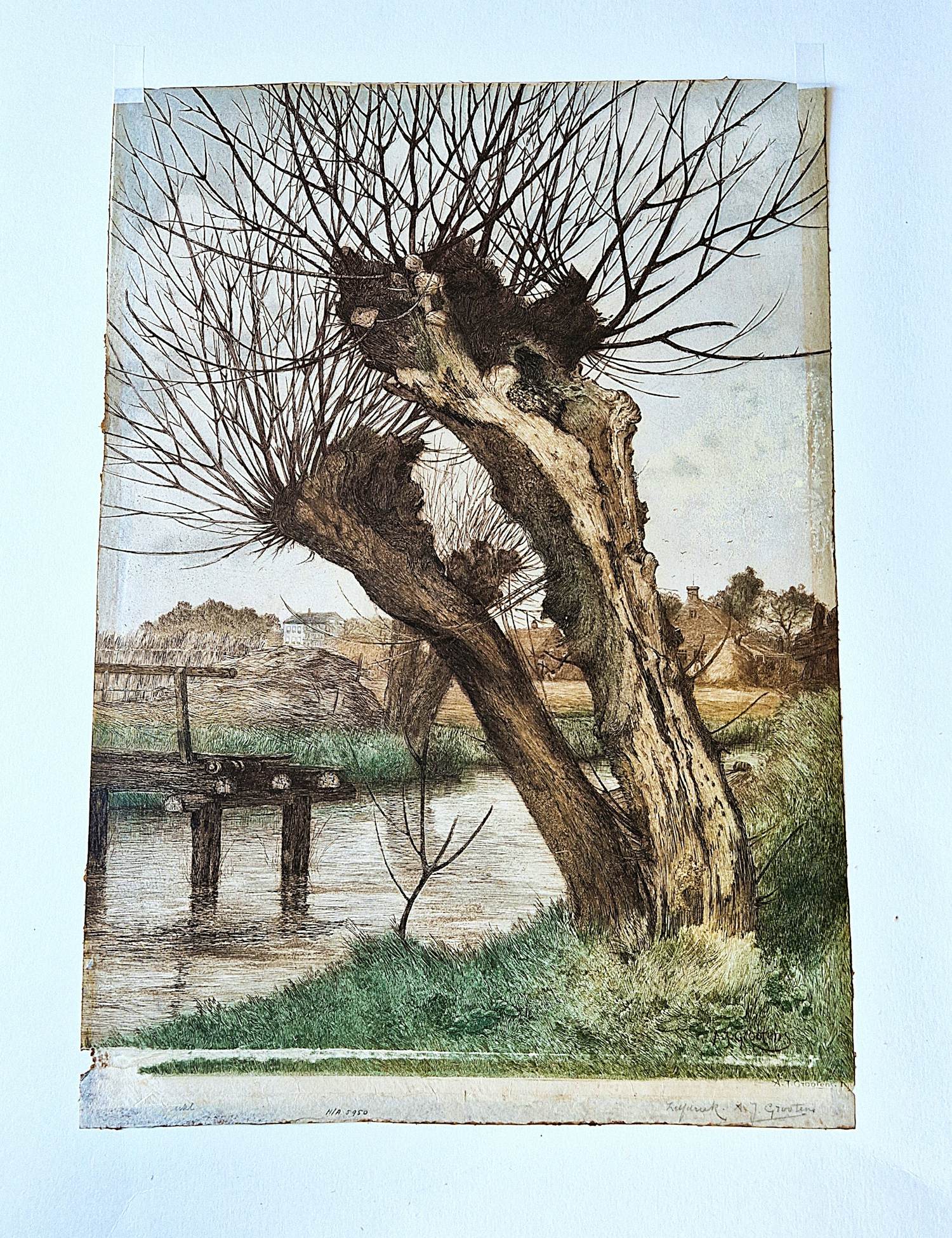 Adrianus Johannes Grootens - Fraaie jaren 30 kleuren zeefdruk "Knotwilg" - potloodgesigneerd kopen? Bied vanaf 42!