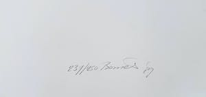 Bob Bonies - in samenwerking met Frans Molenaar - 1989 kopen? Bied vanaf 100!