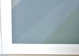 Doris Groeneveld - Westfries landschap met schaduwen - Zeefdruk - Ges. - 55x65 cm - 1978 kopen? Bied vanaf 50!