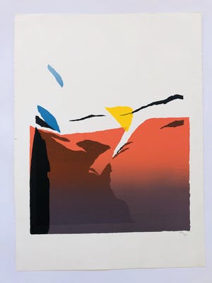 Gerard 't Hart - Lot van twee zeedfrukken kopen? Bied vanaf 60!